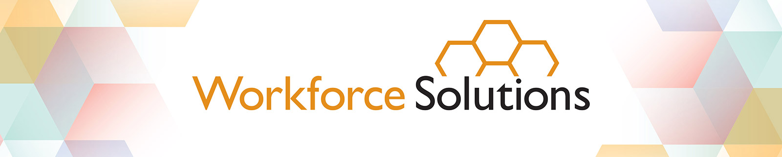 Workforce solutions logo